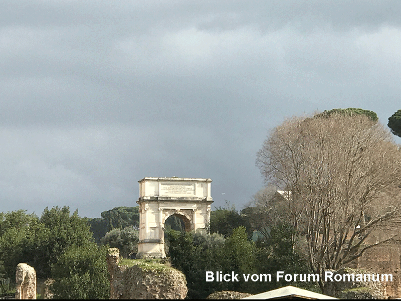 Blick-vom-Forum-Romanum